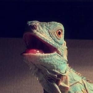 Meet your Posher, Jacob